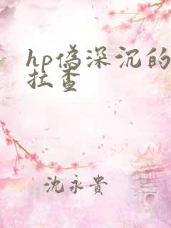 hp伪深沉的萨拉查
