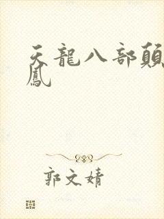 天龙八部颠龙鸾凤