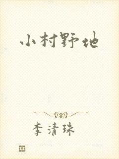 小村野地