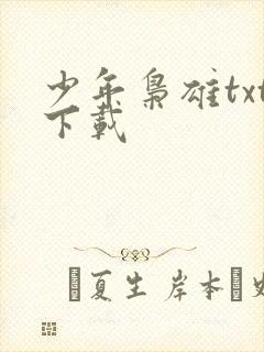 少年枭雄txt下载