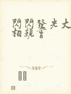 闪闪发光大团圆相亲会