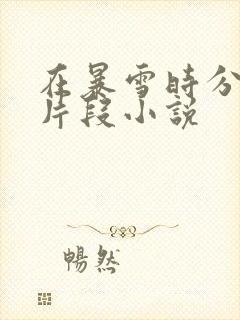 在暴雪时分高能片段小说