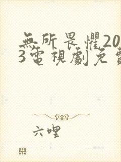 无所畏惧2023电视剧免费观看