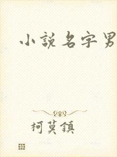 小说名字男生