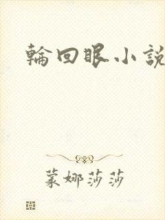 轮回眼小说