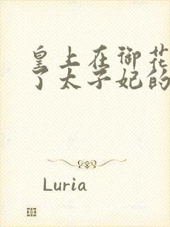 皇上在御花园c了太子妃的网剧