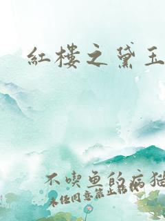 红楼之黛玉之弟