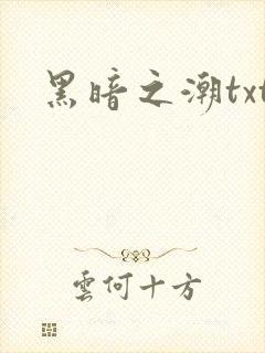 黑暗之潮txt