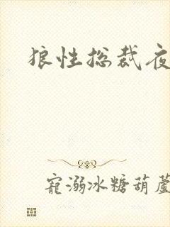 狼性总裁夜欢宠