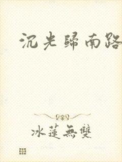 沉光归南路