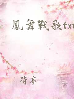 凤舞战歌txt