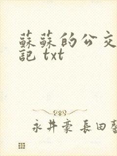 苏苏的公交车日记 txt