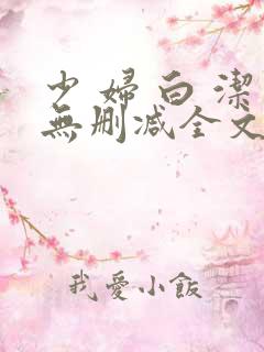 少 妇 白 洁无删减全文阅读