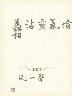 为沾灵气偷功德箱