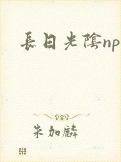 长日光阴np