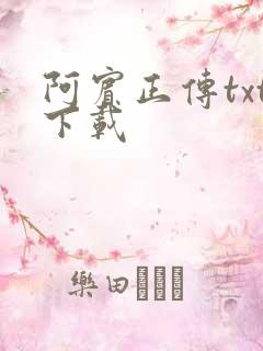 阿宾正传txt下载