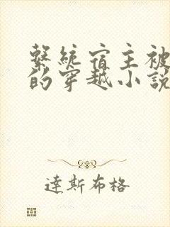 系统宿主被浇灌的穿越小说