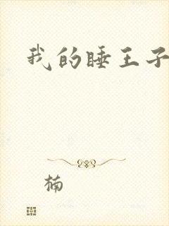 我的睡王子殿下