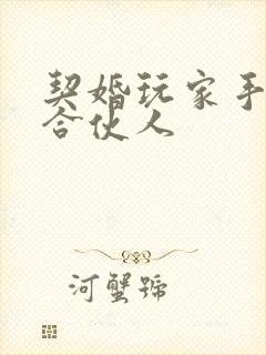 契婚玩家手册之合伙人