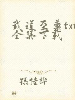 武道至尊txt全集下载