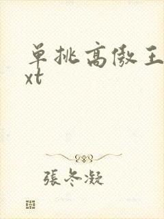 单挑高傲王子txt