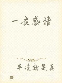 一夜惑情