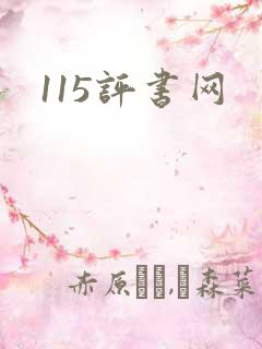 115评书网