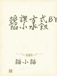 授课方式BY肉馅小水饺
