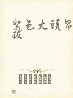 紫色大头昂扬挺拔