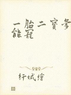 一胎二宝爹地超能宠