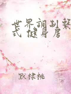 世界调制系统模式 健身房