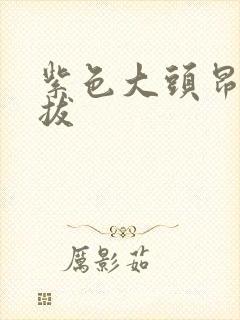 紫色大头昂扬挺拔