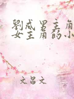 刘成男主角刘雪女主角的小说