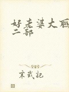 好老婆大联盟第二部