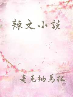 辣文小说