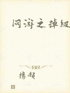 网游之掉级专家