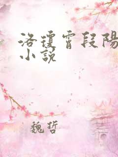 洛琼霄段阳澍的小说