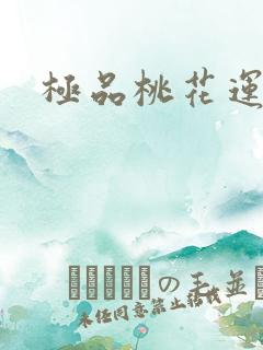 极品桃花运下载