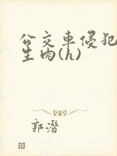 公交车侵犯小男生肉(h)