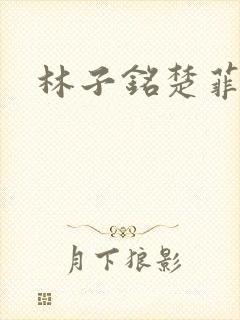 林子铭楚菲小说