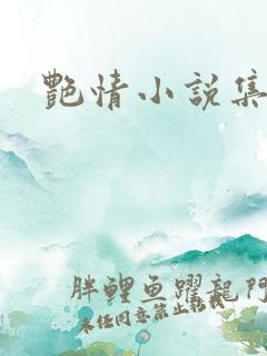 艳情小说集