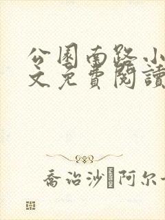 公园南路小说全文免费阅读