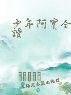 少年阿宾全本阅读