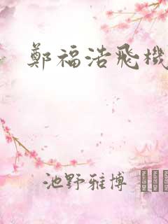 郑福浩飞机坠海