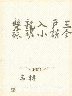 双龙入户三人行苏玥小说全文阅读