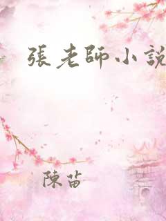 张老师小说
