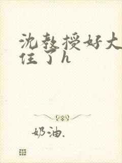 沈教授好大含不住了h