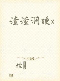渣渣洞硬x