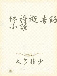 终将逝去的青春小说