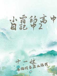 小霜的高中成长日记中2